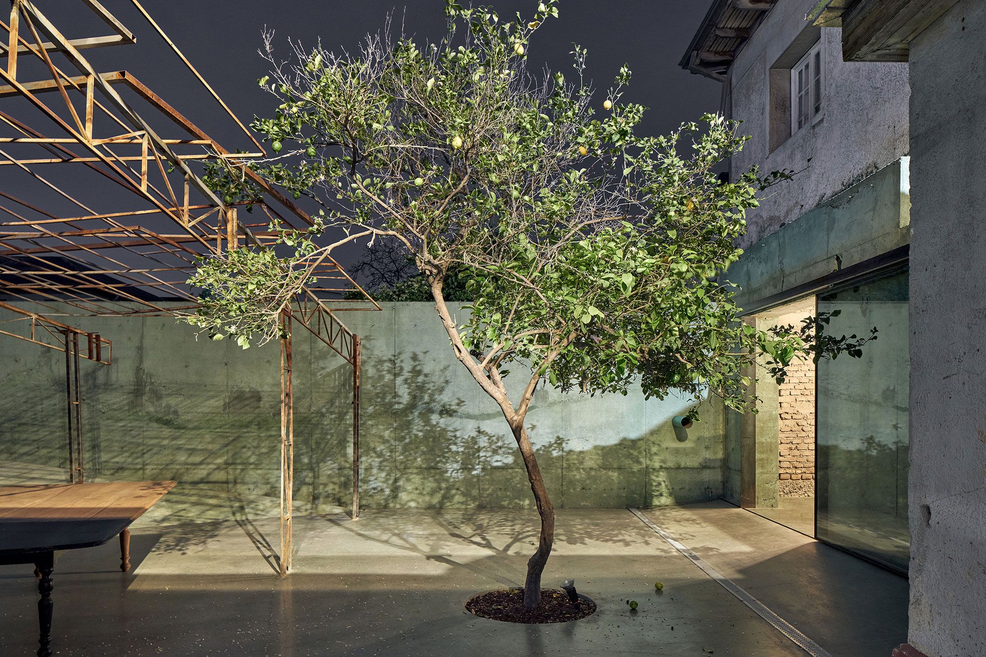 El limonero del patio, de noche.